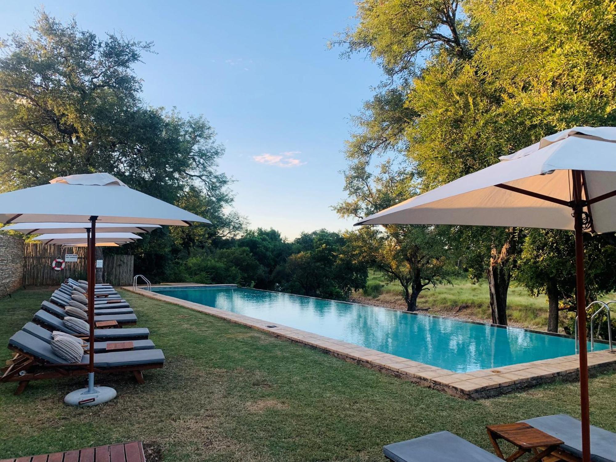 Karongwe Portfolio - Becks Safari Lodge Karongwe Game Reserve Eksteriør billede