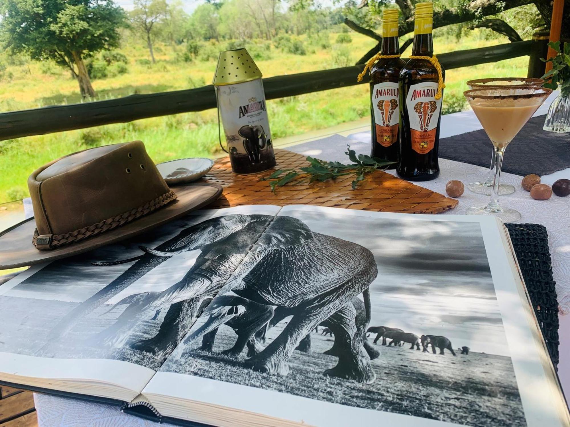 Karongwe Portfolio - Becks Safari Lodge Karongwe Game Reserve Eksteriør billede