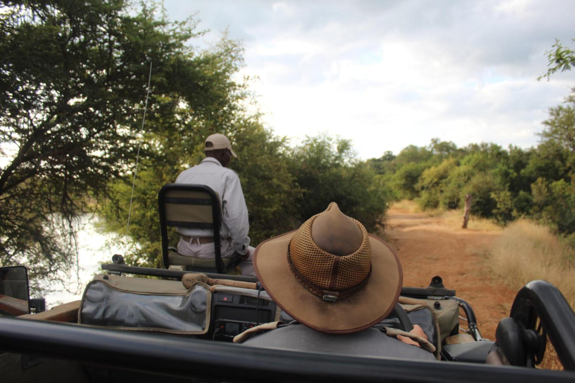 Karongwe Portfolio - Becks Safari Lodge Karongwe Game Reserve Eksteriør billede