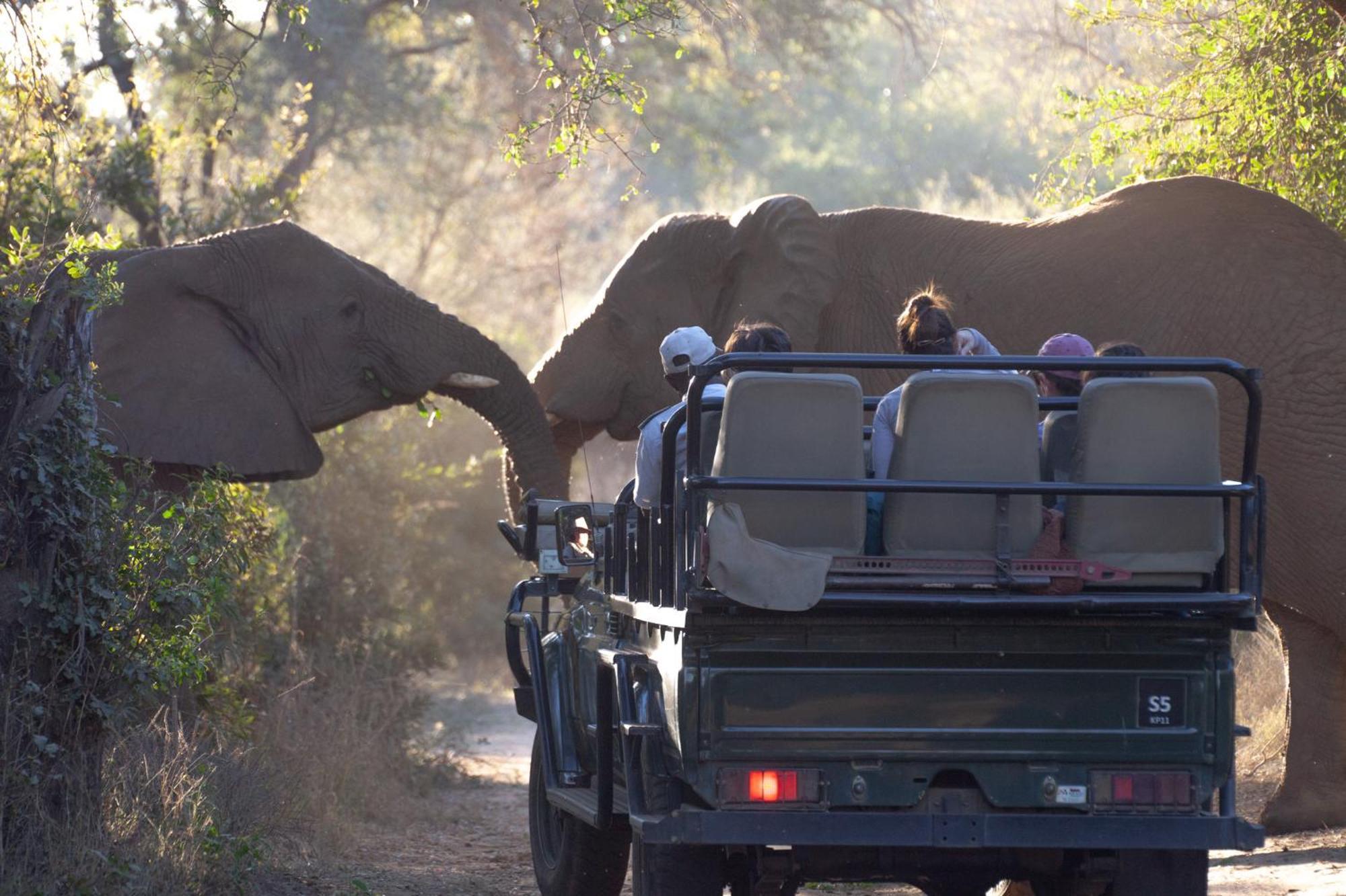 Karongwe Portfolio - Becks Safari Lodge Karongwe Game Reserve Eksteriør billede